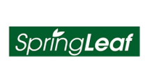 spring leaf